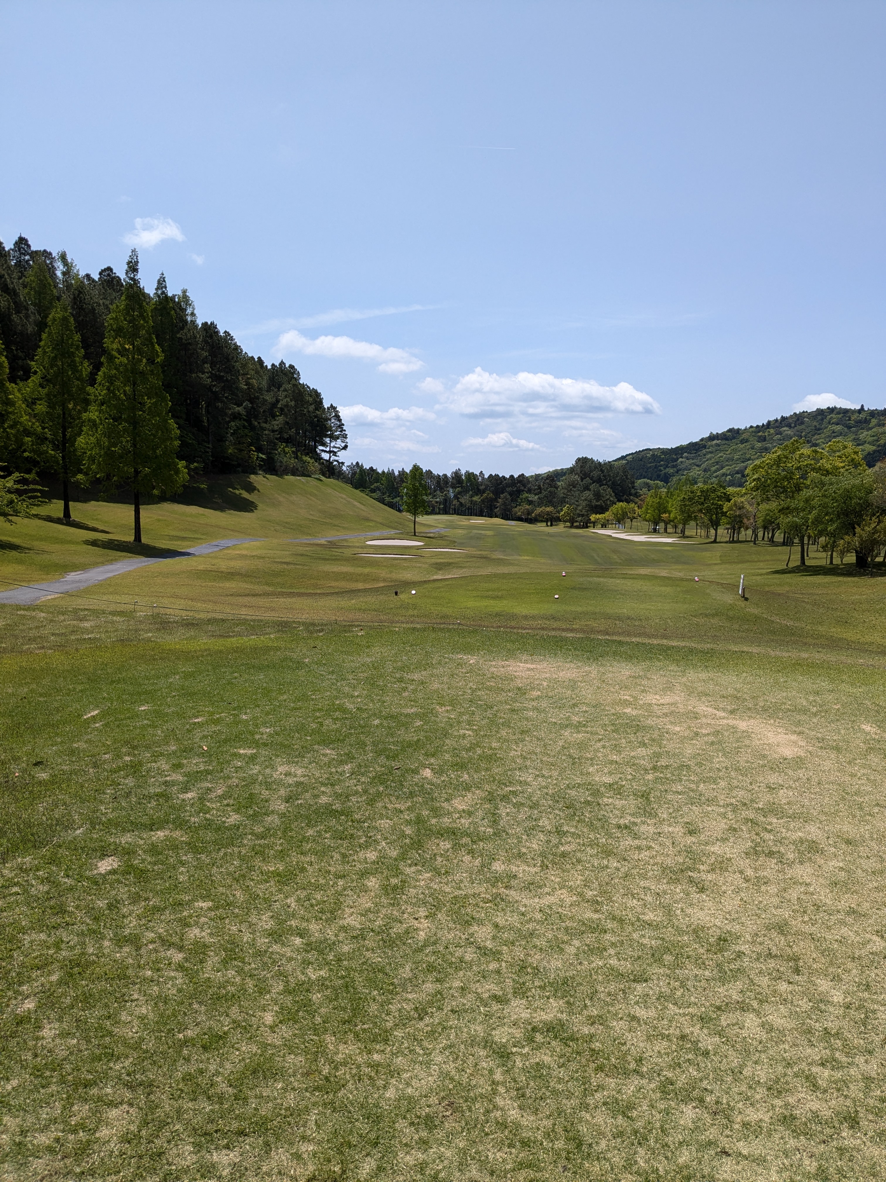 PXL_20250507_014015124.jpg