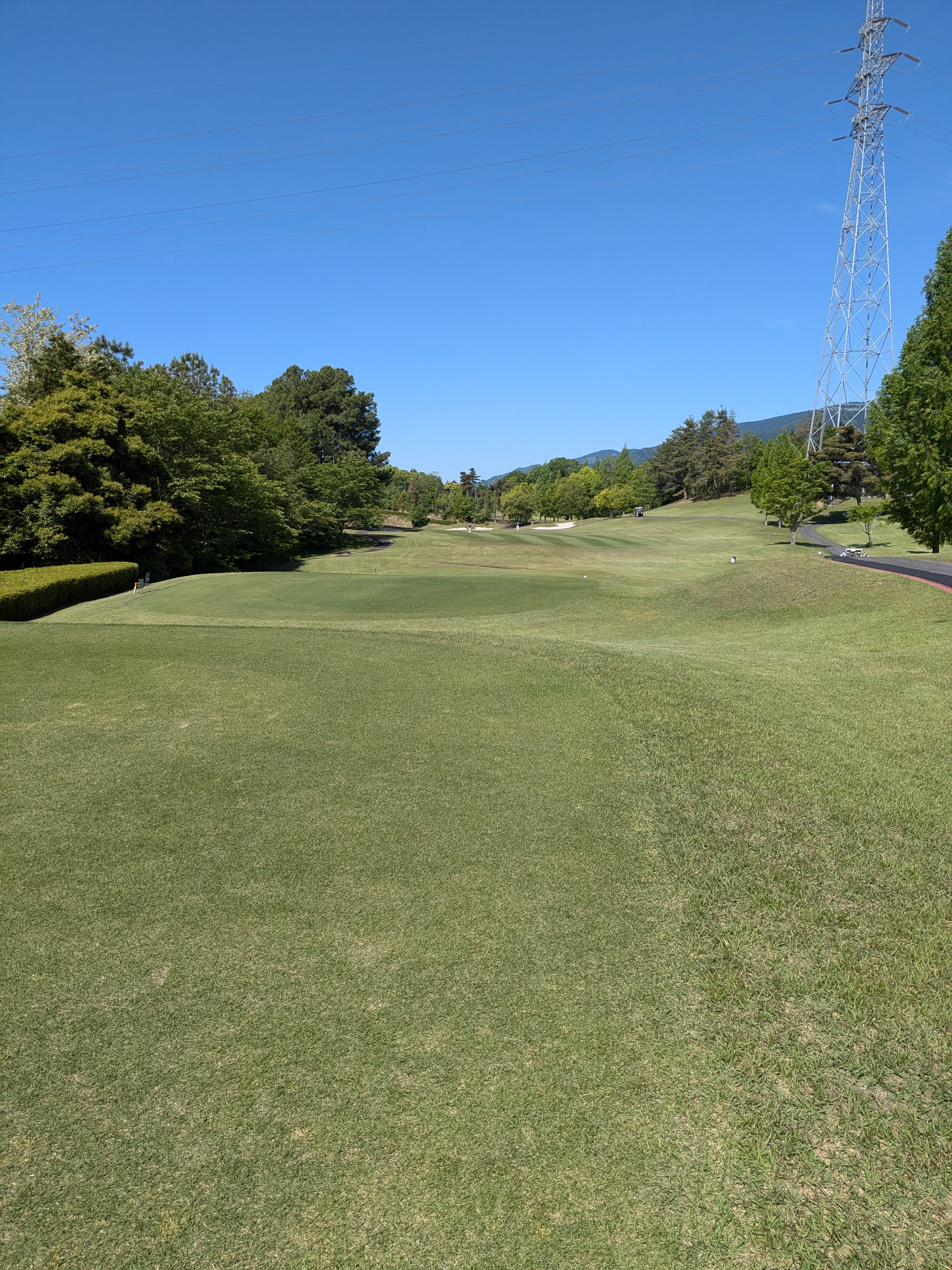 PXL_20250508_000159626.jpg