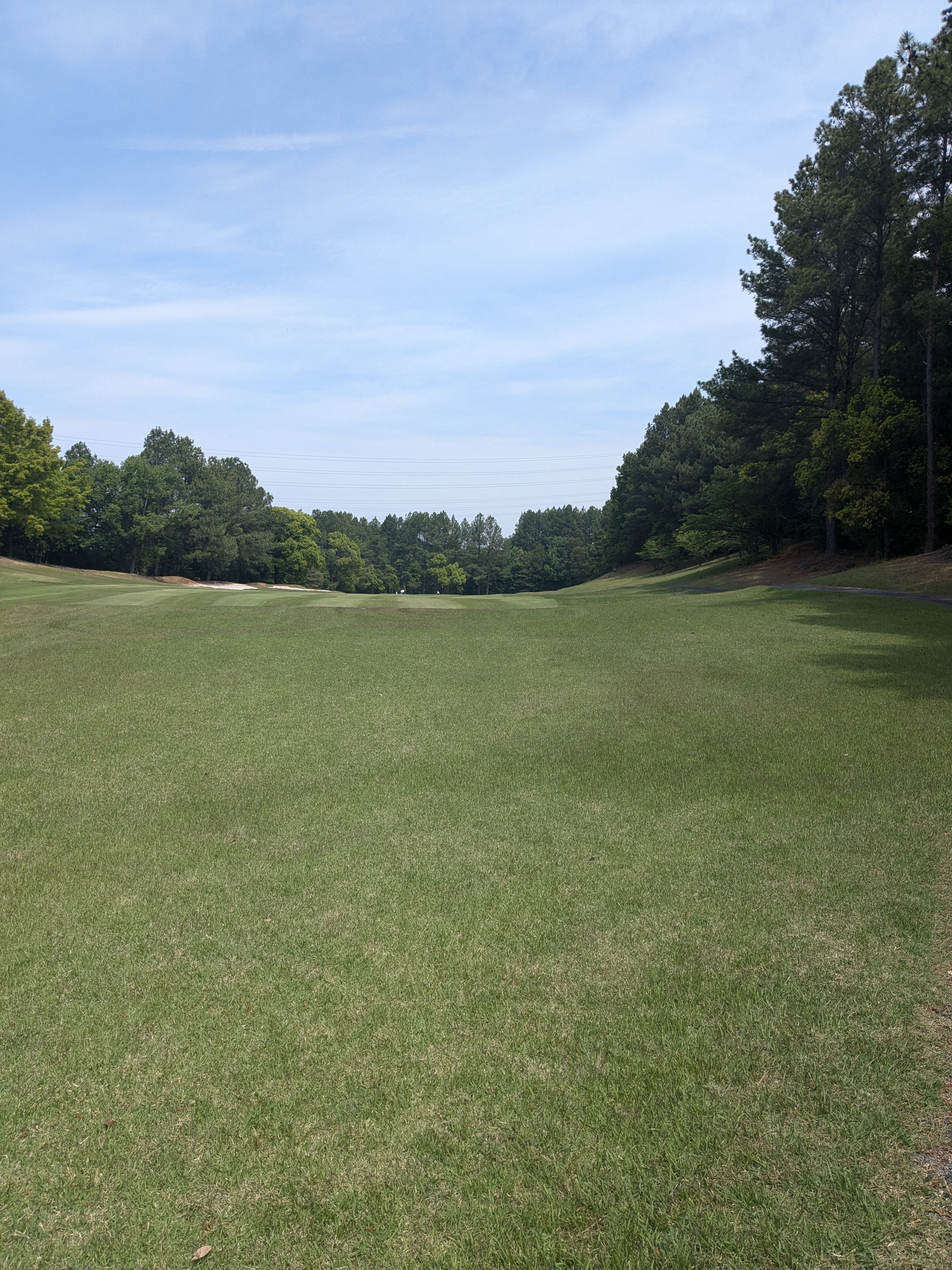PXL_20250514_011646384.jpg