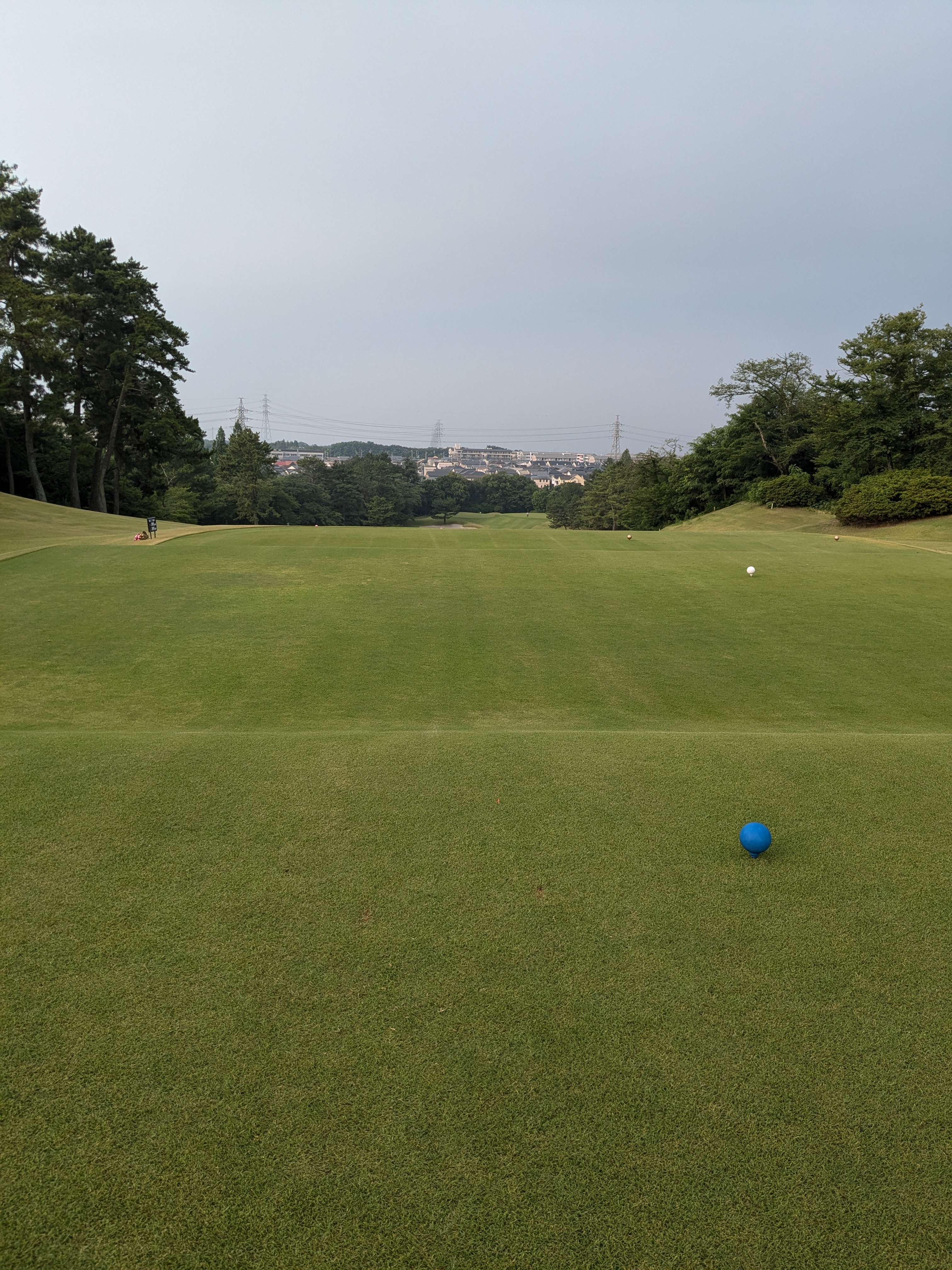 PXL_20250702_212738340.jpg