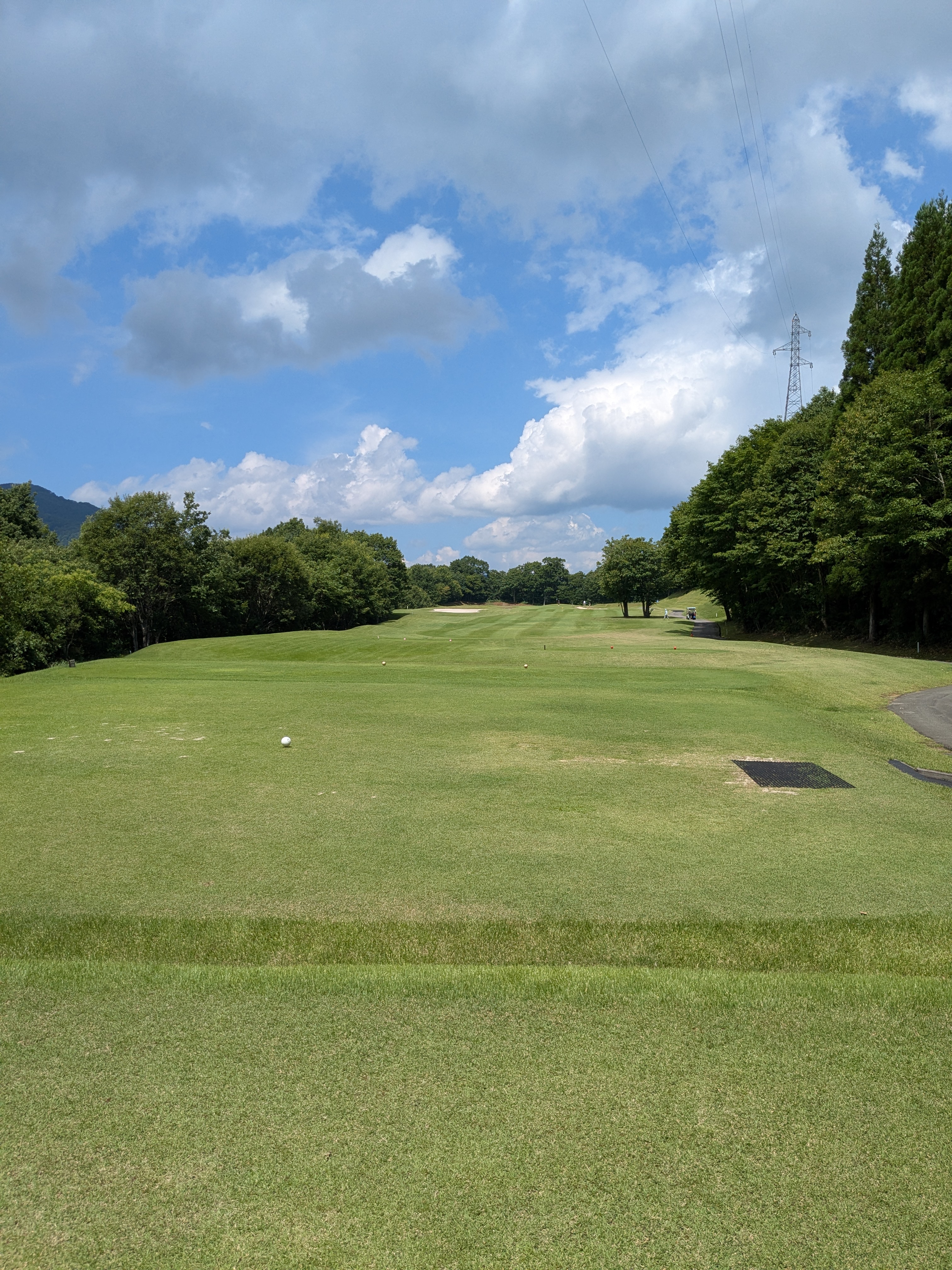 PXL_20250814_040201484.jpg