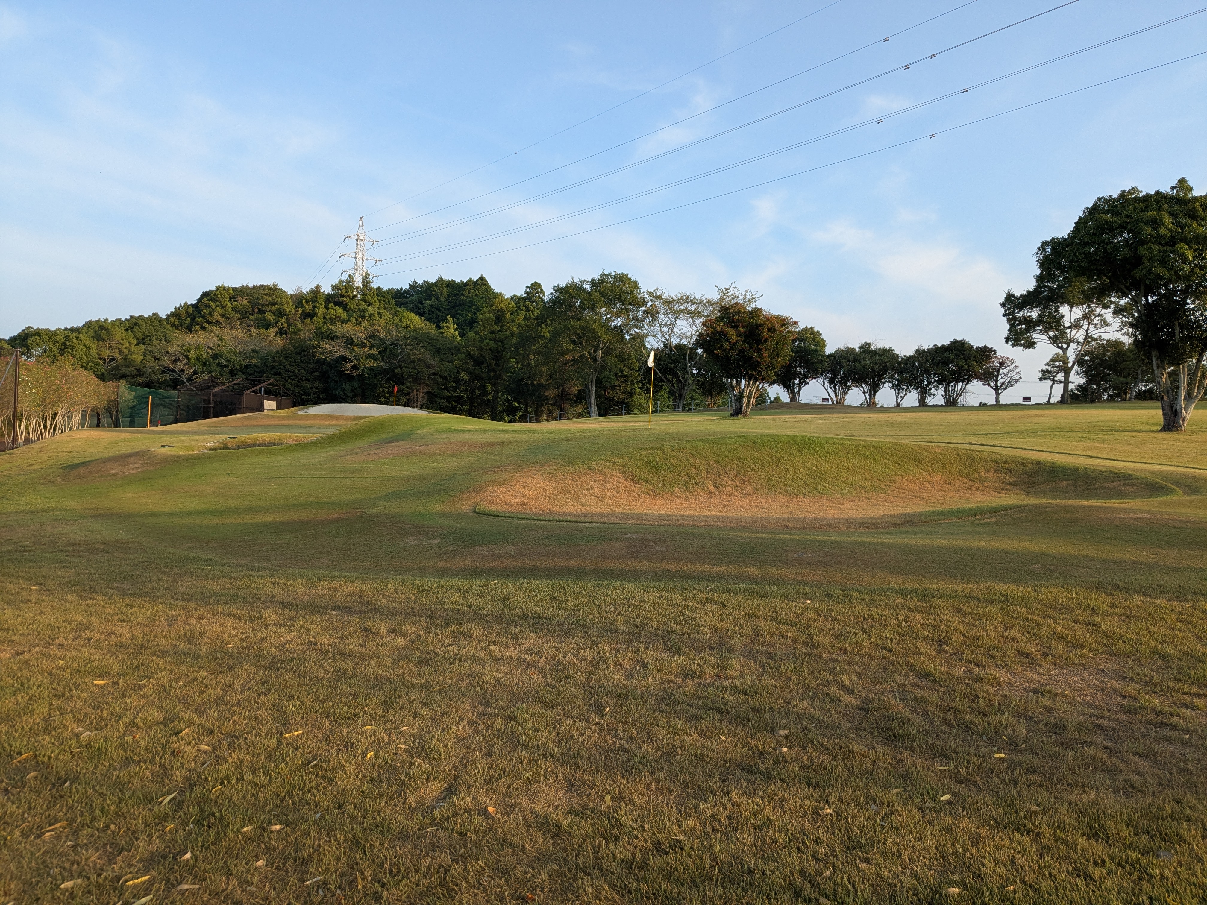 PXL_20250827_211445614.jpg